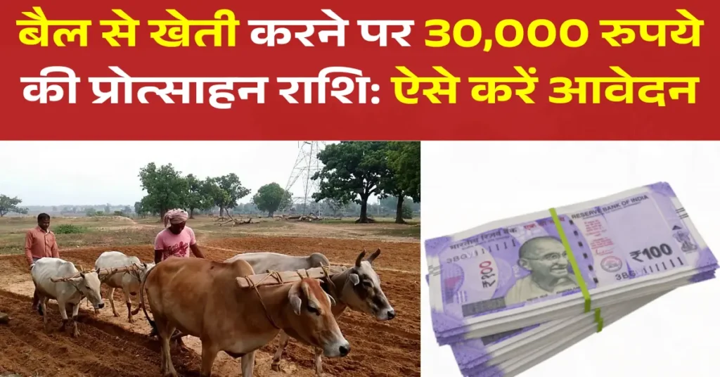 बैल से खेती पर ₹30,000 प्रोत्साहन: पात्रता और आवेदन प्रक्रिया