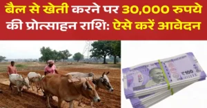 बैल से खेती करने पर 30,000 रुपये की प्रोत्साहन राशि