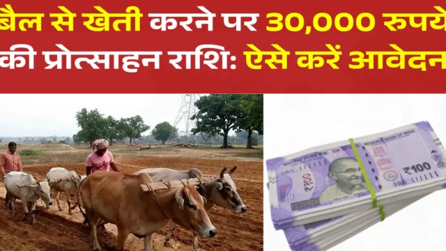 बैल से खेती पर ₹30,000 प्रोत्साहन: पात्रता और आवेदन प्रक्रिया